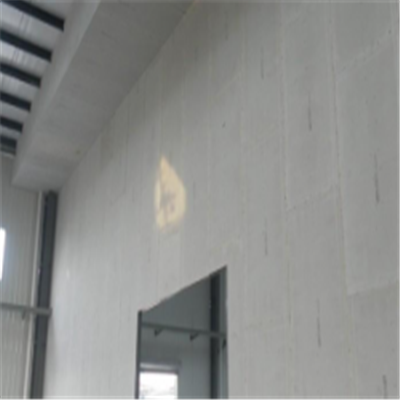 庐江新型建筑材料掺多种工业废渣的ALC|ACC|FPS模块板材轻质隔墙板